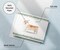 Twigs Paper - Pembroke Welsh Corgi Greeting Cards 12-Count - Corgi Dog Cards with Envelopes - Dog Lover Blank Note Cards - Eco-Friendly Recycled Paper - Made in USA (5.5 x 4.25)